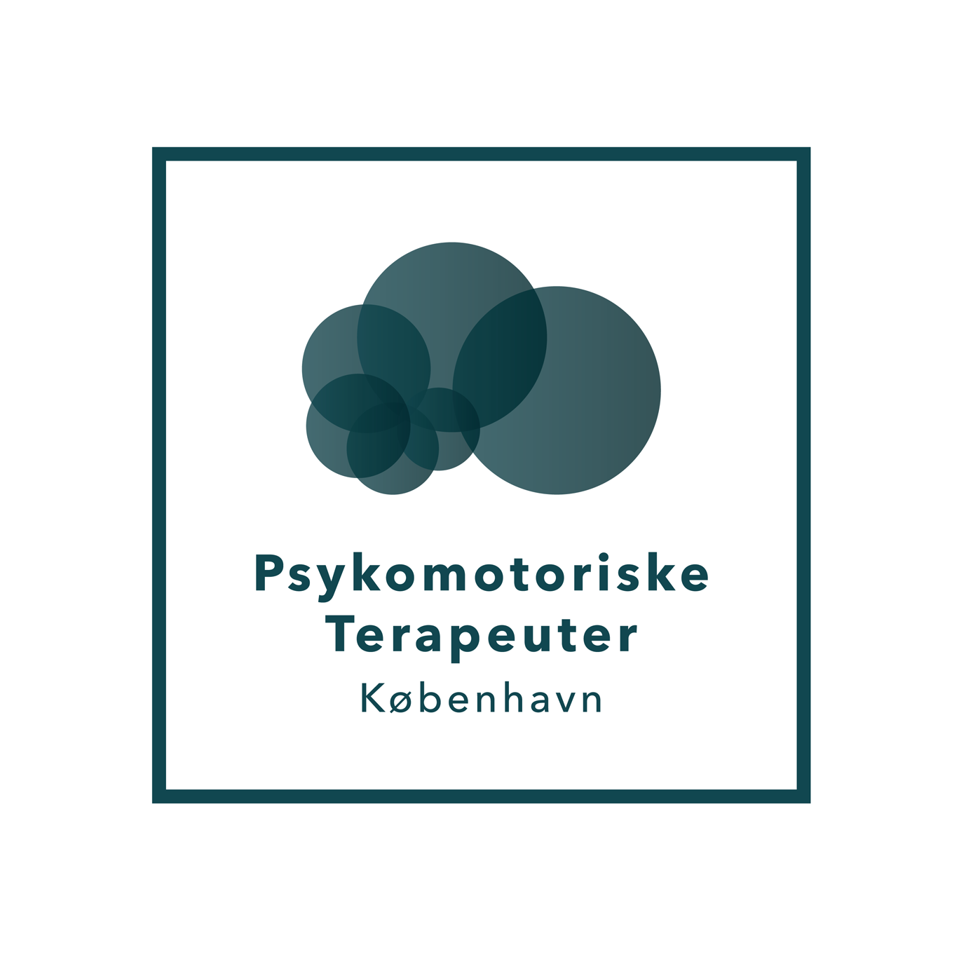 pmtk_logo